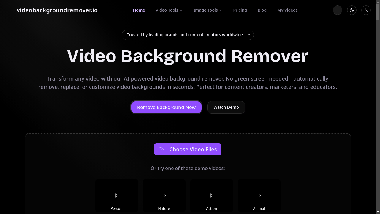 Video Background Remover